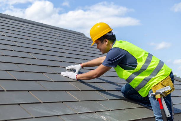 Best Roof Gutter Cleaning  in Conway, FL